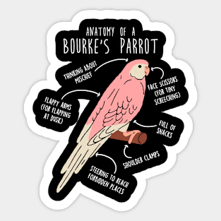 Bourke's Parrot Anatomy Sticker